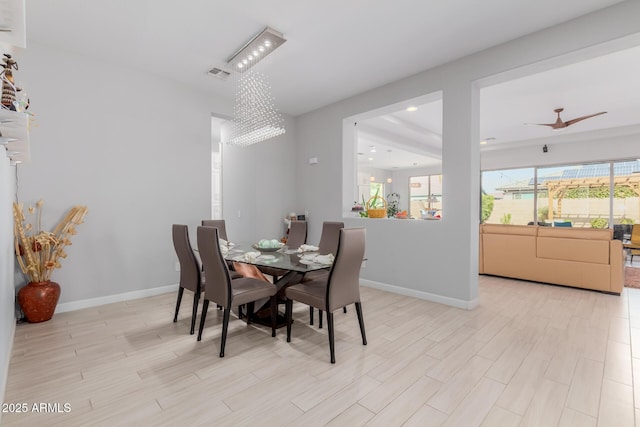 dining room featuring ceiling fan with notable chandelier and light hardwood / wood-style flooring