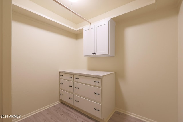 spacious closet with light hardwood / wood-style floors