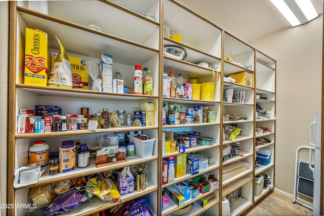 view of pantry