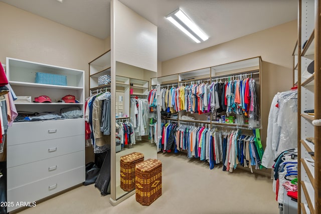 spacious closet with light carpet