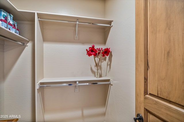 view of spacious closet