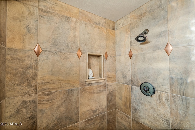 interior details with tiled shower