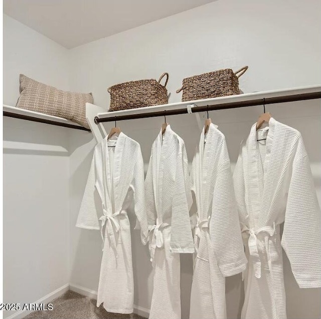 12039 E Primrose Ln, Florence, AZ 85132 - walk in closet with carpet floors