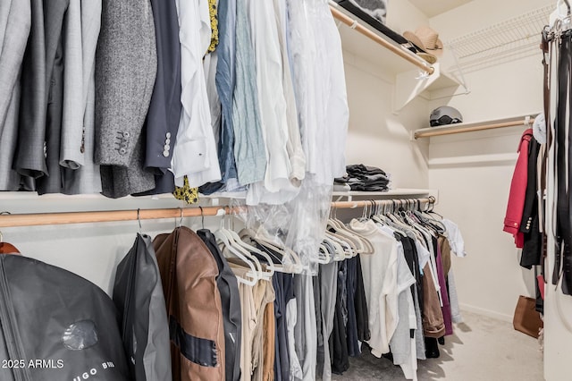 spacious closet featuring carpet