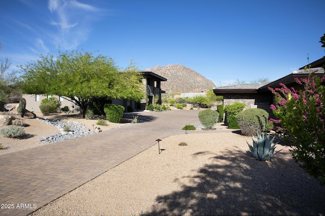 10205 E Happy Valley Rd, Scottsdale, AZ 85255 - view of road