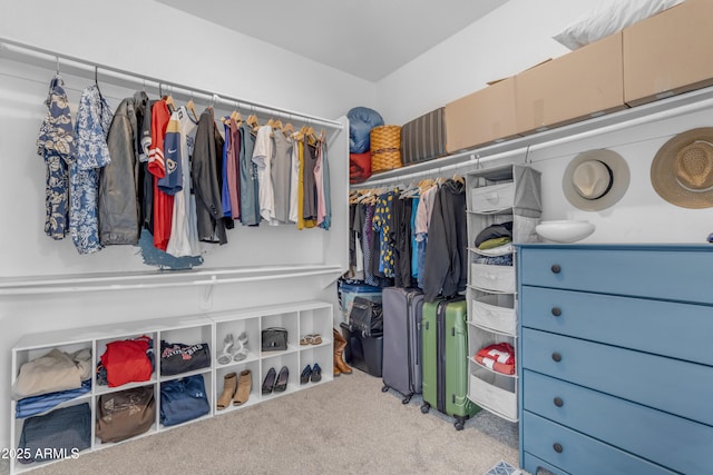 1405 S Honeysuckle Cir, Gilbert, AZ 85296 - spacious closet featuring carpet flooring