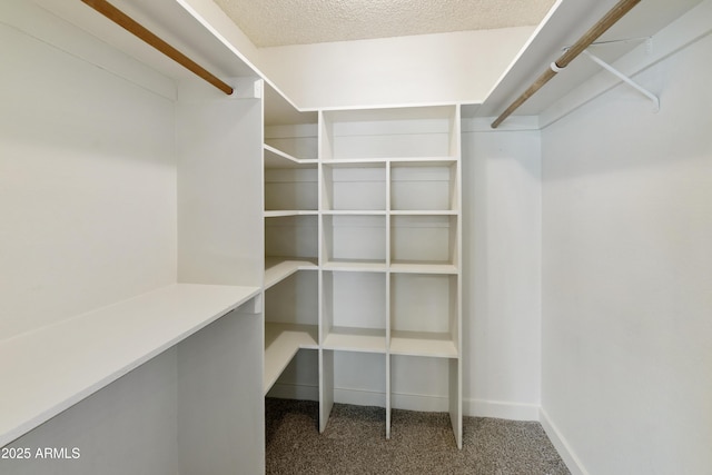 walk in closet with carpet