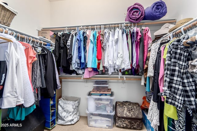 spacious closet with carpet