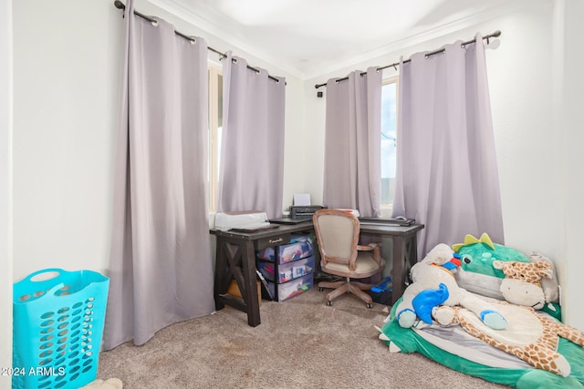 home office with light colored carpet and ornamental molding