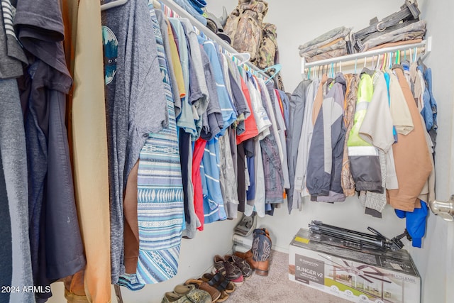 walk in closet featuring carpet flooring