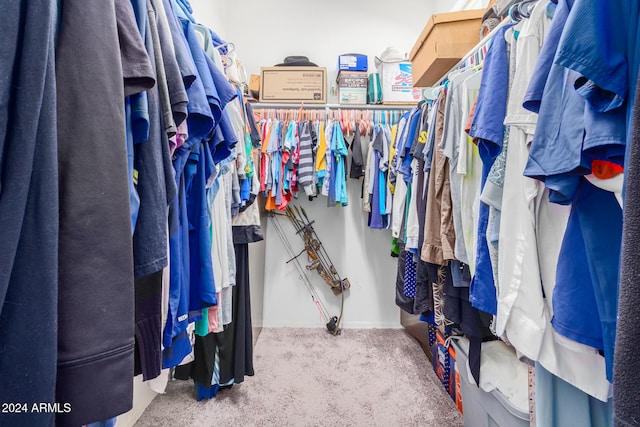 spacious closet featuring light carpet