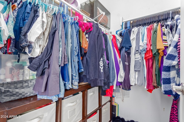 view of spacious closet