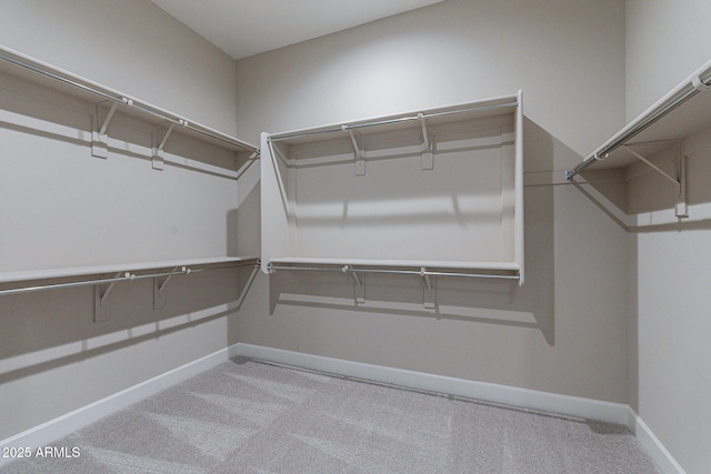 spacious closet featuring carpet