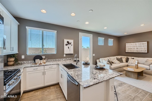 kitchen featuring a sink, wood tiled floor, stainless steel appliances, and open floor plan
