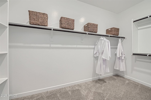 walk in closet with carpet