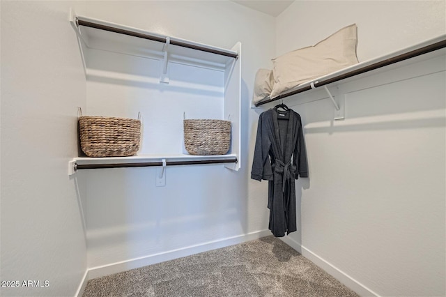 walk in closet with carpet floors