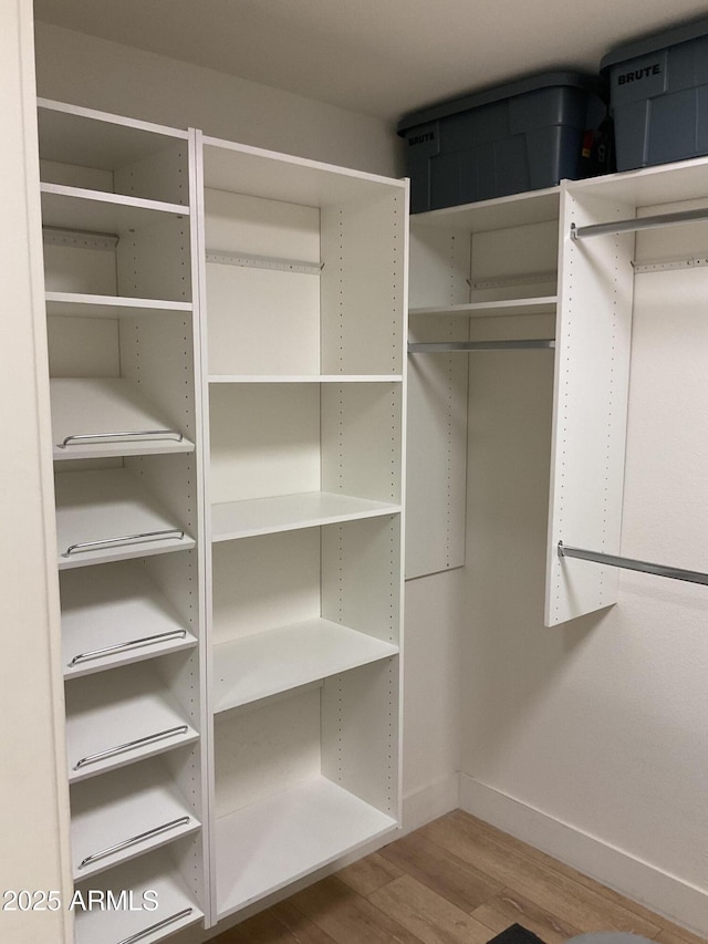 spacious closet featuring wood-type flooring