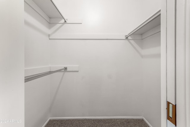 spacious closet with carpet