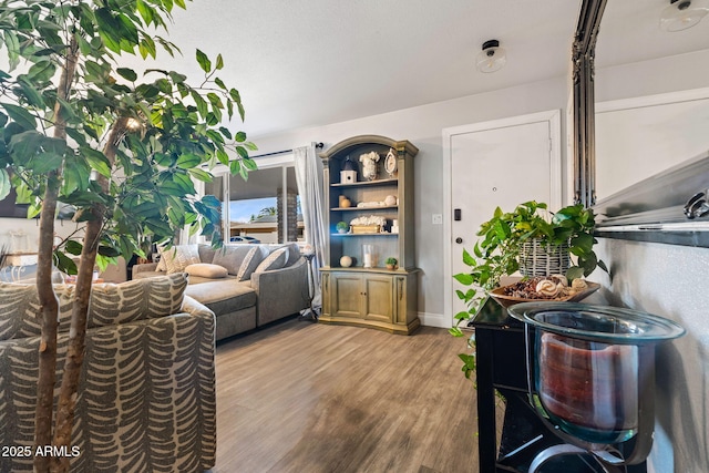 living room with light hardwood / wood-style flooring