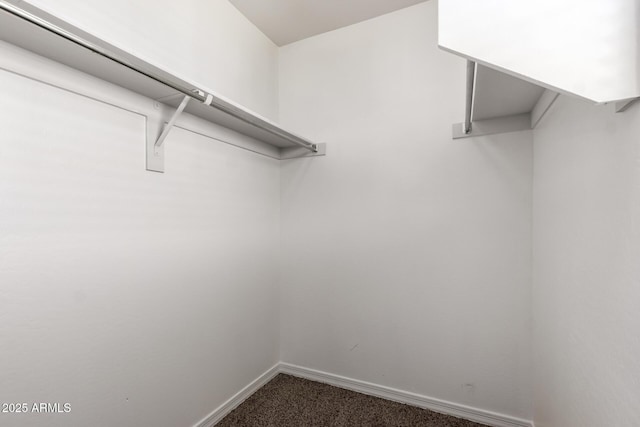 917 E Agua Fria Ln, Avondale, AZ 85323 - walk in closet with dark carpet