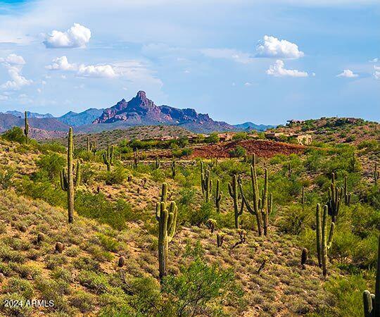 10401 N Saguaro Blvd Unit 224, Fountain Hills, AZ 85268 - view of mountain backdrop
