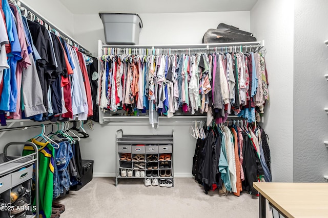 7910 S 33rd Ln, Laveen, AZ 85339 - walk in closet featuring carpet floors