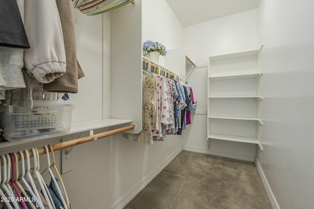 walk in closet featuring carpet flooring