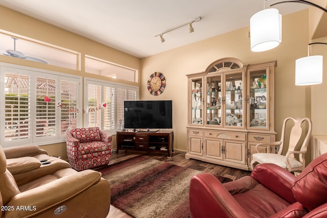 living room with a wealth of natural light, dark wood-type flooring, and rail lighting