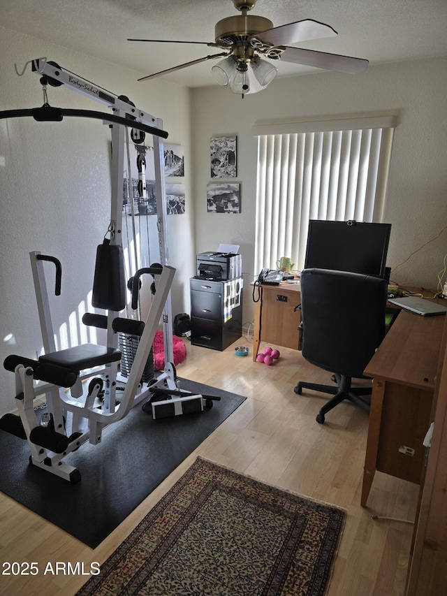 workout room featuring a ceiling fan and wood finished floors