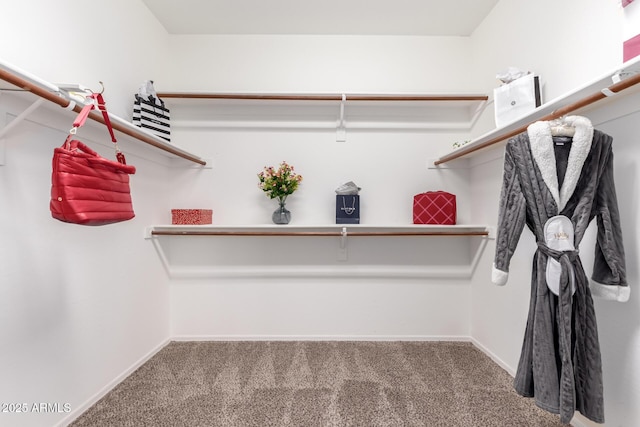 spacious closet with carpet