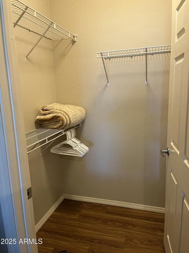 14250 W Wigwam Blvd Unit 812, Litchfield Park, AZ 85340 - spacious closet with dark wood finished floors