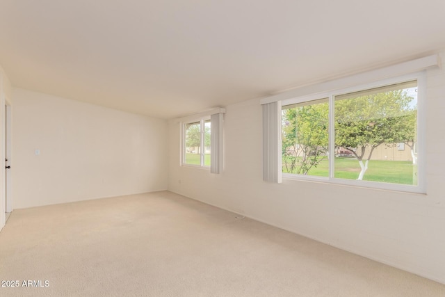 spare room featuring light colored carpet