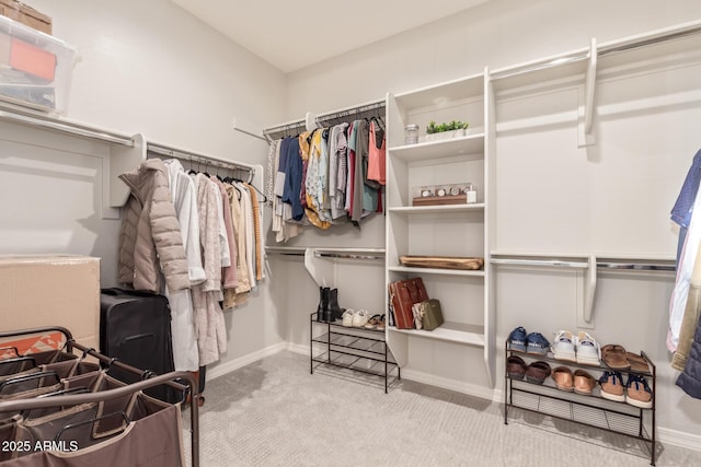 spacious closet with carpet floors