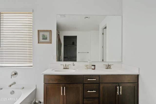 bathroom featuring vanity and a washtub