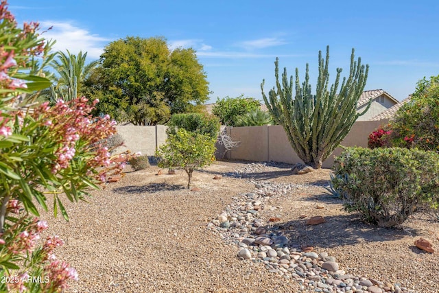 view of yard featuring a fenced backyard
