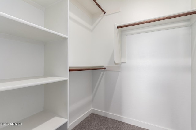 walk in closet featuring carpet