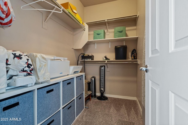 walk in closet featuring carpet floors