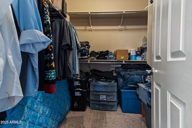 spacious closet with carpet floors