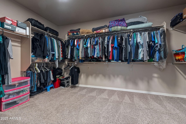 walk in closet featuring carpet floors