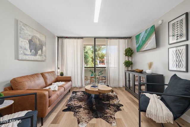 living area with light wood-type flooring and floor to ceiling windows