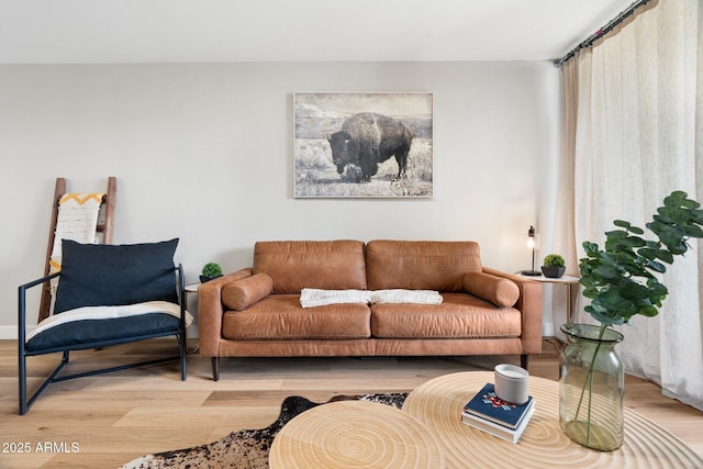 living room featuring wood finished floors