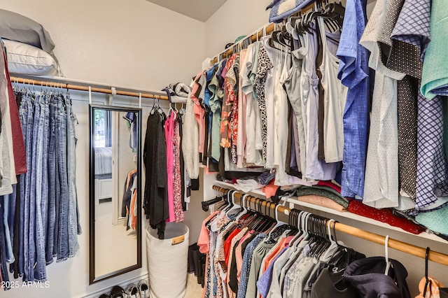 view of spacious closet