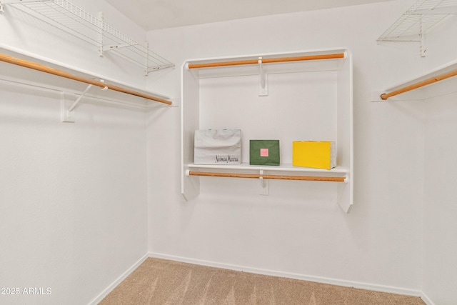20809 N 1st Ave, Phoenix, AZ 85027 - spacious closet featuring carpet