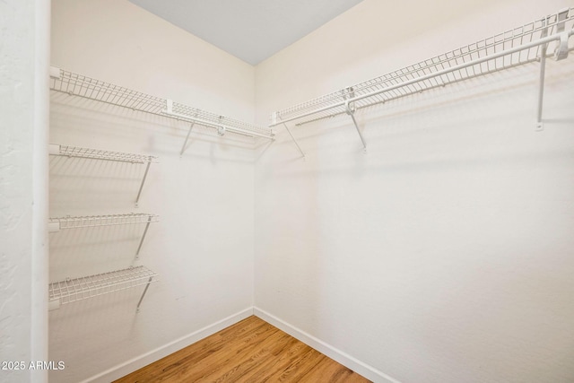 walk in closet with wood finished floors