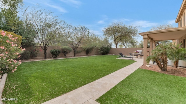 view of yard featuring a fenced backyard and a patio