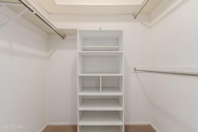 walk in closet featuring carpet floors