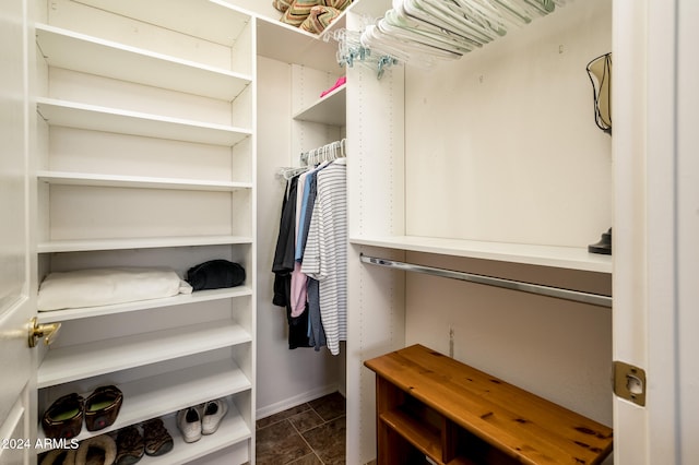 view of walk in closet