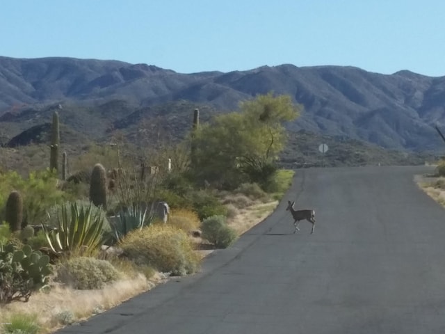 Listing photo 2 for 8560 N Father Kino Trail -, Carefree AZ 85377