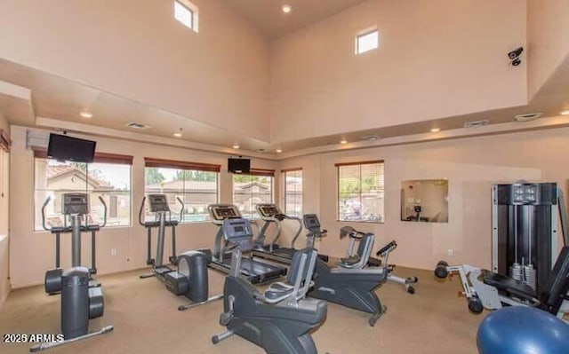 gym featuring a towering ceiling