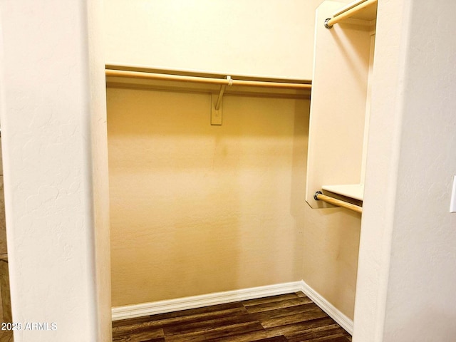 spacious closet featuring dark hardwood / wood-style flooring